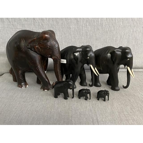 310 - 6 antique carved elephants inc. ebony