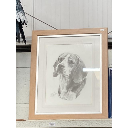 332 - Framed pencil signed MJ Sibley print of a Beagle 49x60cm