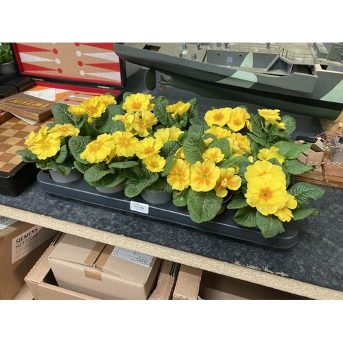 404 - Tray of 15 Primroses