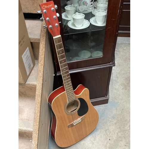 450 - Cheetah electro acoustic guitar (No model number)