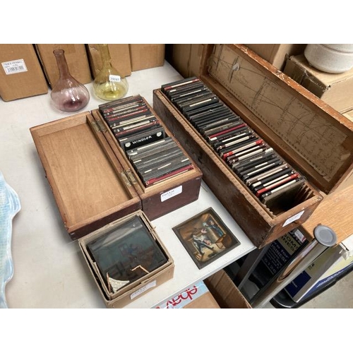 381 - Collection of antique glass slides