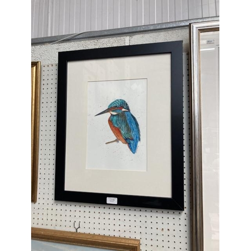 386 - Framed watercolour & ink by Sue Vardy of a Kingfisher 47x58cm