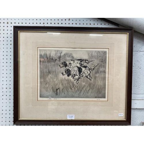 349 - Framed Henry Wilkinson (1921-2011) signed coloured etching of pointer dogs 121/150 (60 x 50cm)