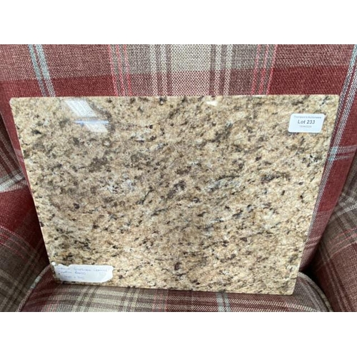 233 - Giallo Veneziano granite chopping board 400 x 300mm