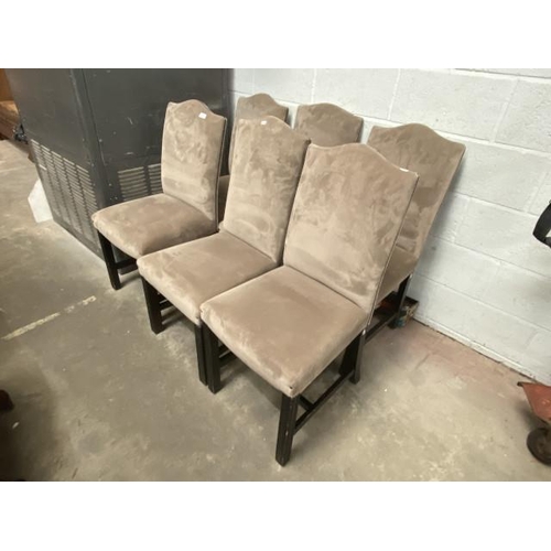 1 - 6 taupe velvet dining chairs