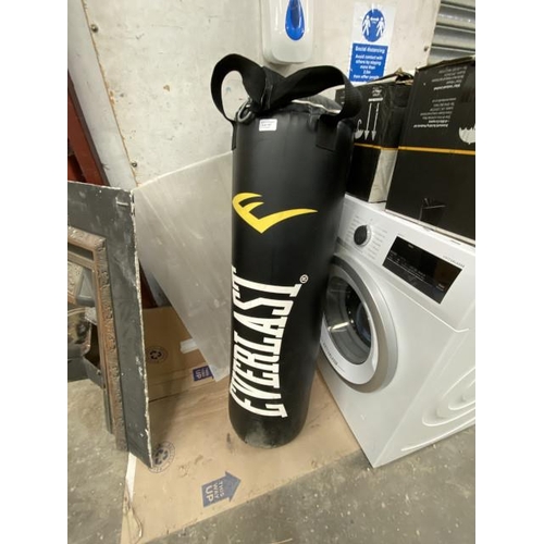 147 - Everlast punch bag