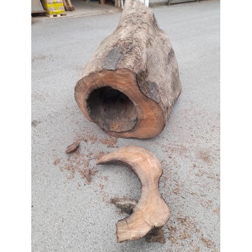 181 - Chestnut (lightning struck) tree stump/table base 125H 105W