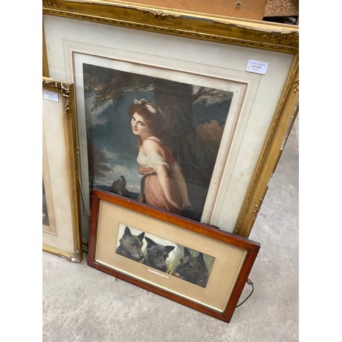 239 - 10 framed pictures inc. lithographs, 