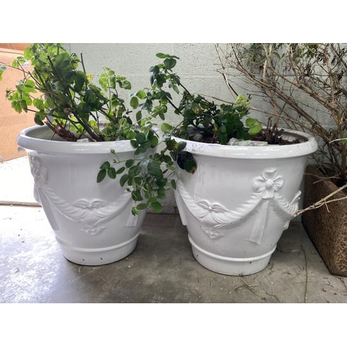 40 - 2 glazed planters (please arrange your own delivery) 54H 56cm diameter