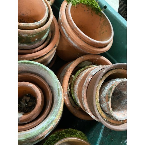 224 - Box of assorted terracotta planters in various sizes