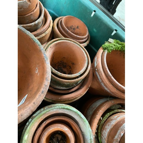 224 - Box of assorted terracotta planters in various sizes