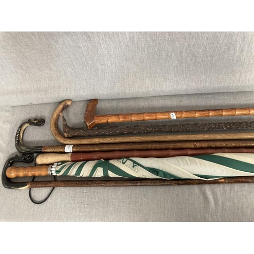 360 - 6 walking sticks inc. horn handled & a umbrella