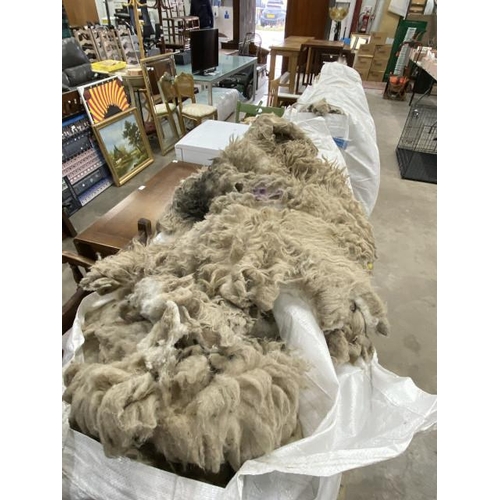 207 - Approximately 40 Swaledale sheep fleeces