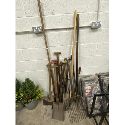 49 - Assorted gardening tools, axe etc