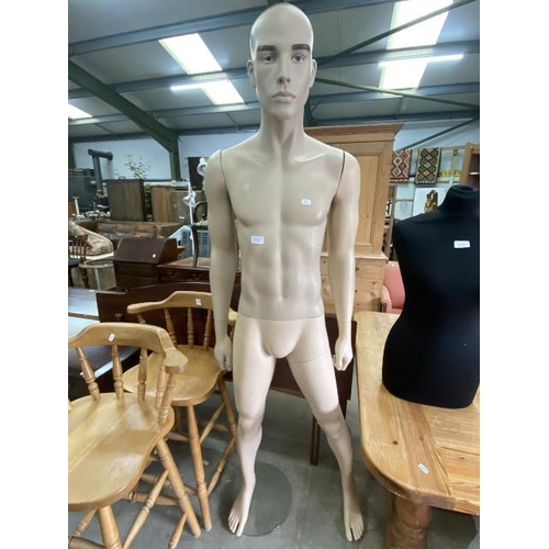 193 - Male form mannequin 185H