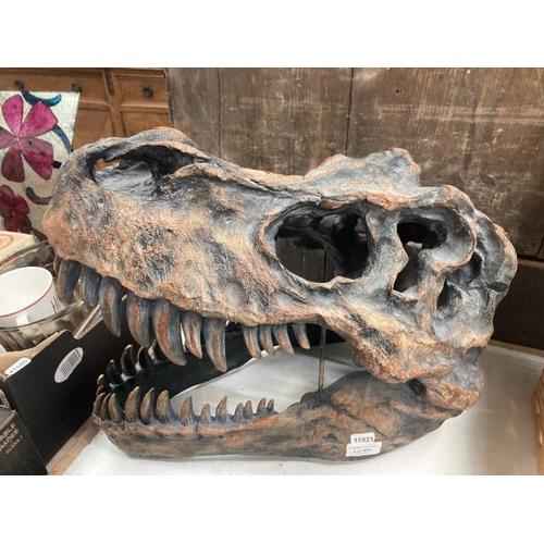 484 - Composite dinosaur head 36H