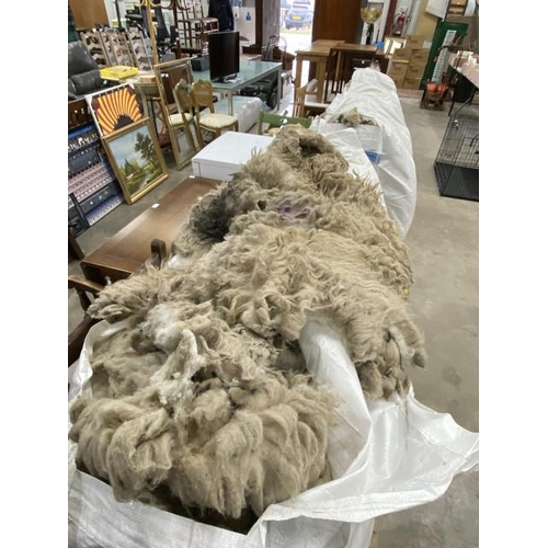 501 - Approximately 40 Swaledale sheep fleeces