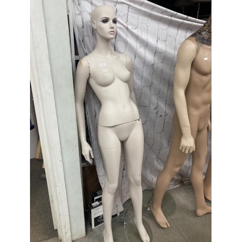 504 - Female form mannequin 183H