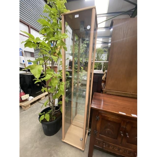 173 - Beech glazed display cabinet 172H 36W 33D