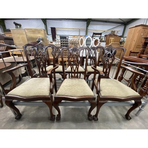 195 - 6 Chippendale style mahogany dining chairs on ball and claw feet, including 2 carvers 62W