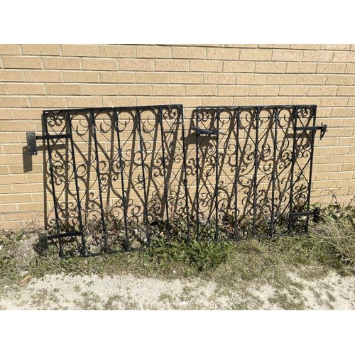 276 - 2 black metal garden gates 102 x 92cm