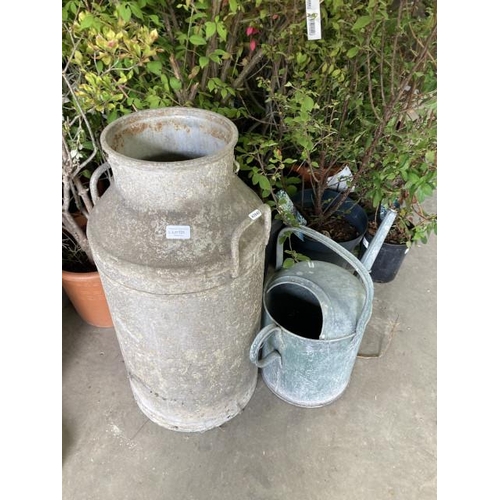 527 - Vintage galvanised milk churn & a watering can