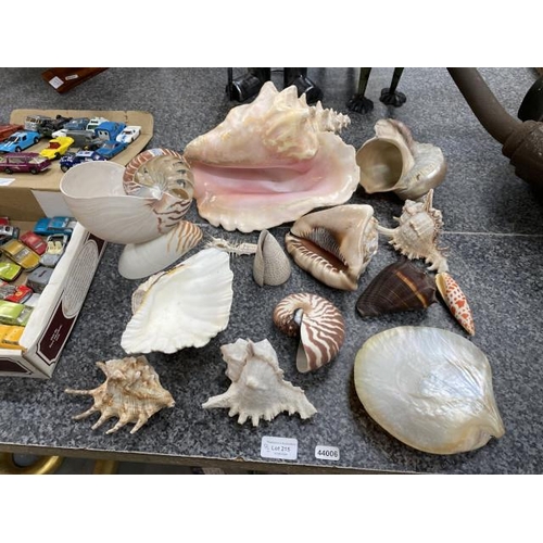 215 - Collection of seashells