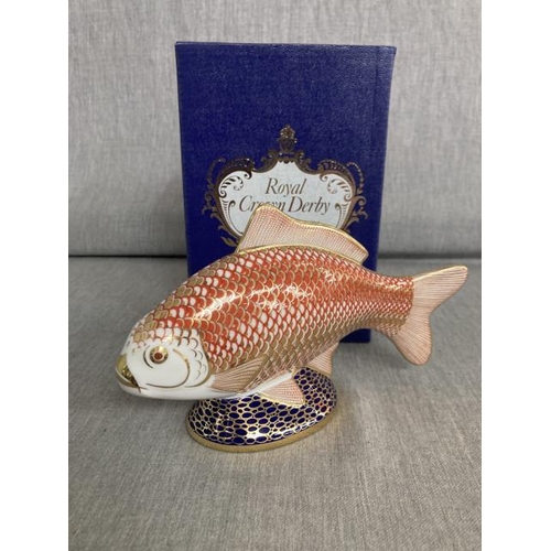 341 - Royal Crown Derby ‘Golden Carp’ paperweight with gold stopper XLIX with box (in excellent condition)