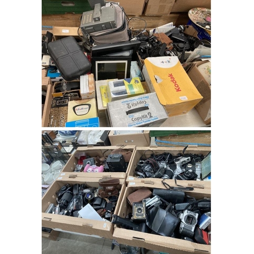 522 - Large collection of cameras and photographic equipment including Canon, Minolta, Samsung, Pentax, Ol... 