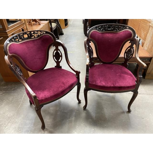 54 - Pair of Edwardian mahogany framed tub chairs 59W