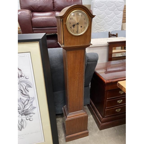 96 - Oak granddaughter clock with pendulum & winding key (in working order) 133H 24W 17D