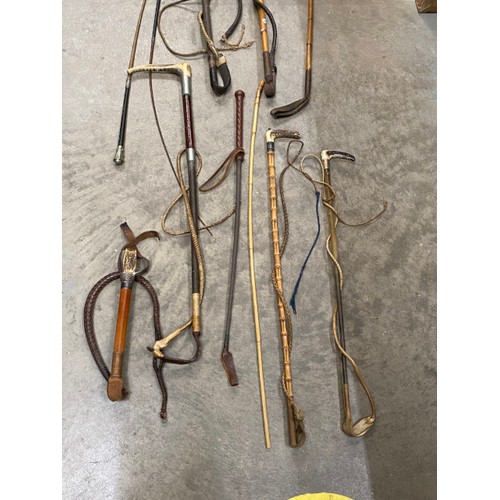 340 - Fifteen 19th & 20th century riding & carriage/ driving whips inc. Beagling/ huntsman's combined whip... 