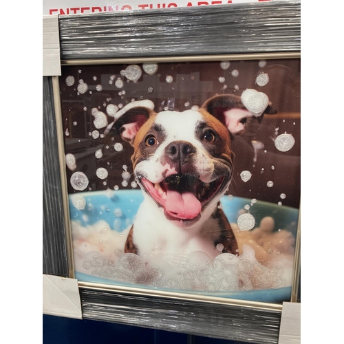 247 - Framed 'Bubble Bath, Staffordshire Bull Terrier' print on glass 53cm square NEW