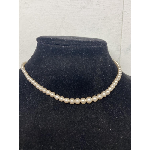 315 - CIRO 9ct gold clasped pearl bead necklace (38cm)