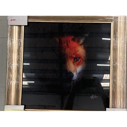 375 - Framed Fox print on glass NEW 53cm square