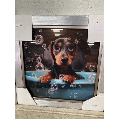 384 - Framed 'Bubble Bath Sausage Dog' print on glass NEW 37cm square