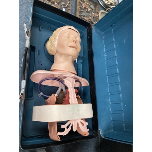 404 - Cased Laerdal Medical Anatomic Anne made in Norway