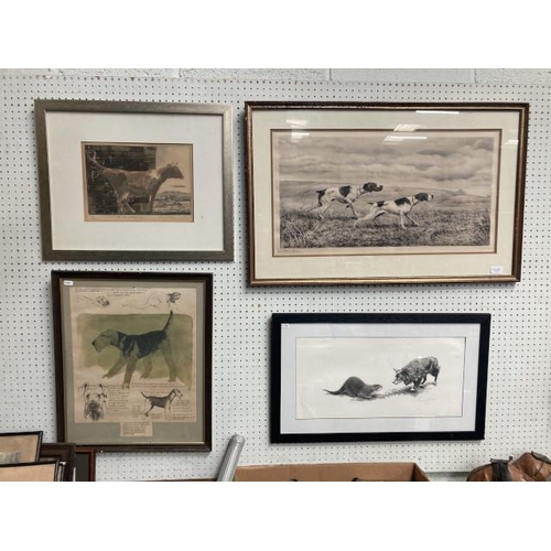 345 - Framed black and white print of an otter and collie signed to bottom right Geldhart (William Geldhar... 