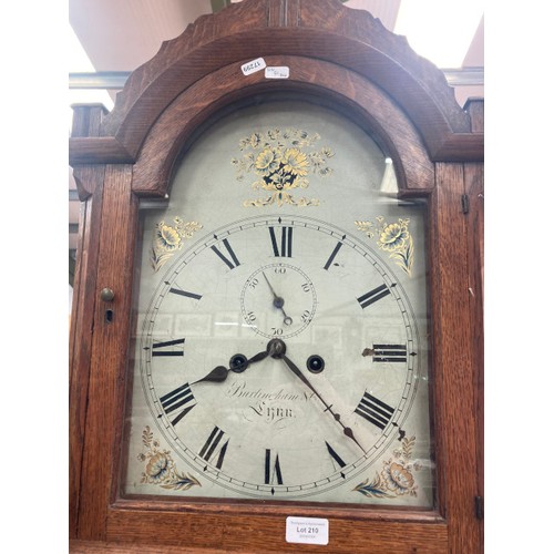 210 - Antique oak Grandfather 8 day long case clock, Burlingham with 2 weights, pendulum and winding key 2... 