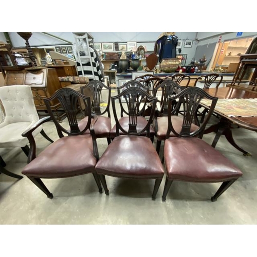 211 - 6x  19th century mahogany, leather seated chairs including 2 carvers 58W