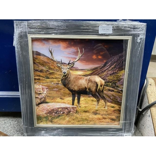 242 - Framed print on glass of a Stag 38cm square NEW