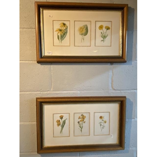 293 - Two framed sets of 3 still life prints 66x42cm