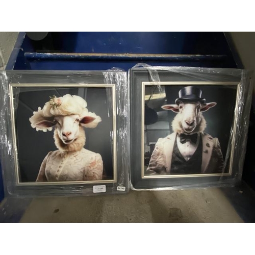 296 - Two framed sheep prints on glass 38cm square NEW