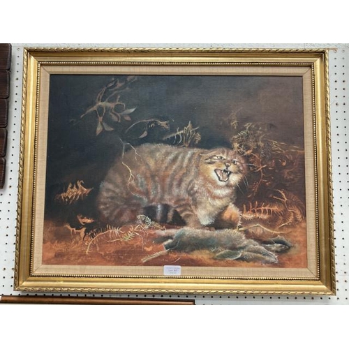 397 - Gilt framed signed B. Needham oil painting on canvas of a 'Scottish Wildcat' 70x56cm