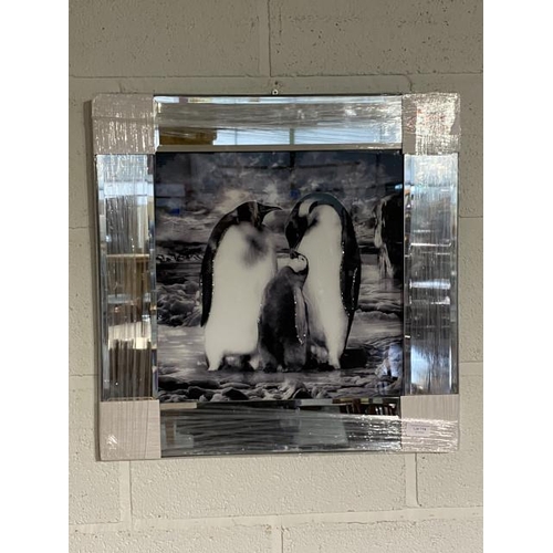 114 - Framed Penguin Family print on glass 56 x 56cm NEW