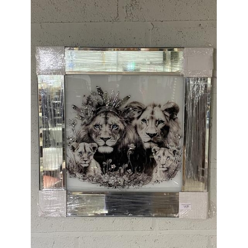 88 - Framed Lion King, Queen and cubs print on glass 56 x 56cm NEW