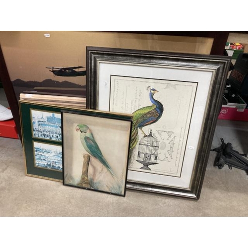 493 - 11 pictures & 2 mirrors inc. Lowry 'Industrial Landscapes' print, 'Peacock Birdcage' print by Sue Sc... 