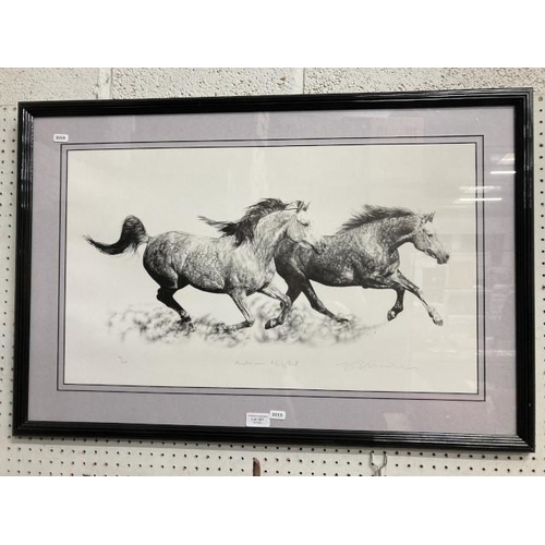 367 - Framed pencil signed print 'Arabian Flight' 94/500 55x85cm