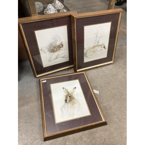 495 - 3 oak framed nature prints 'Hare', 'Fox' & 'Squirrel' 39x33cm