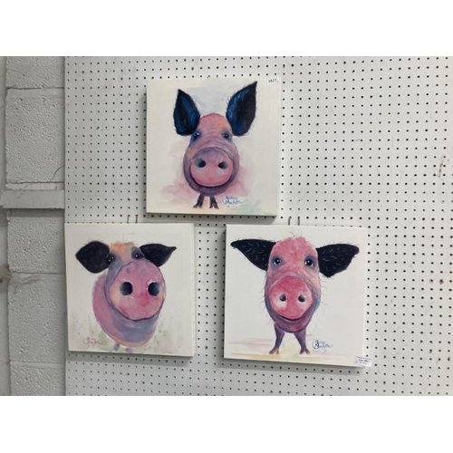 482 - 3 Shirley MacArthur 'Pig' prints, 30cm square each